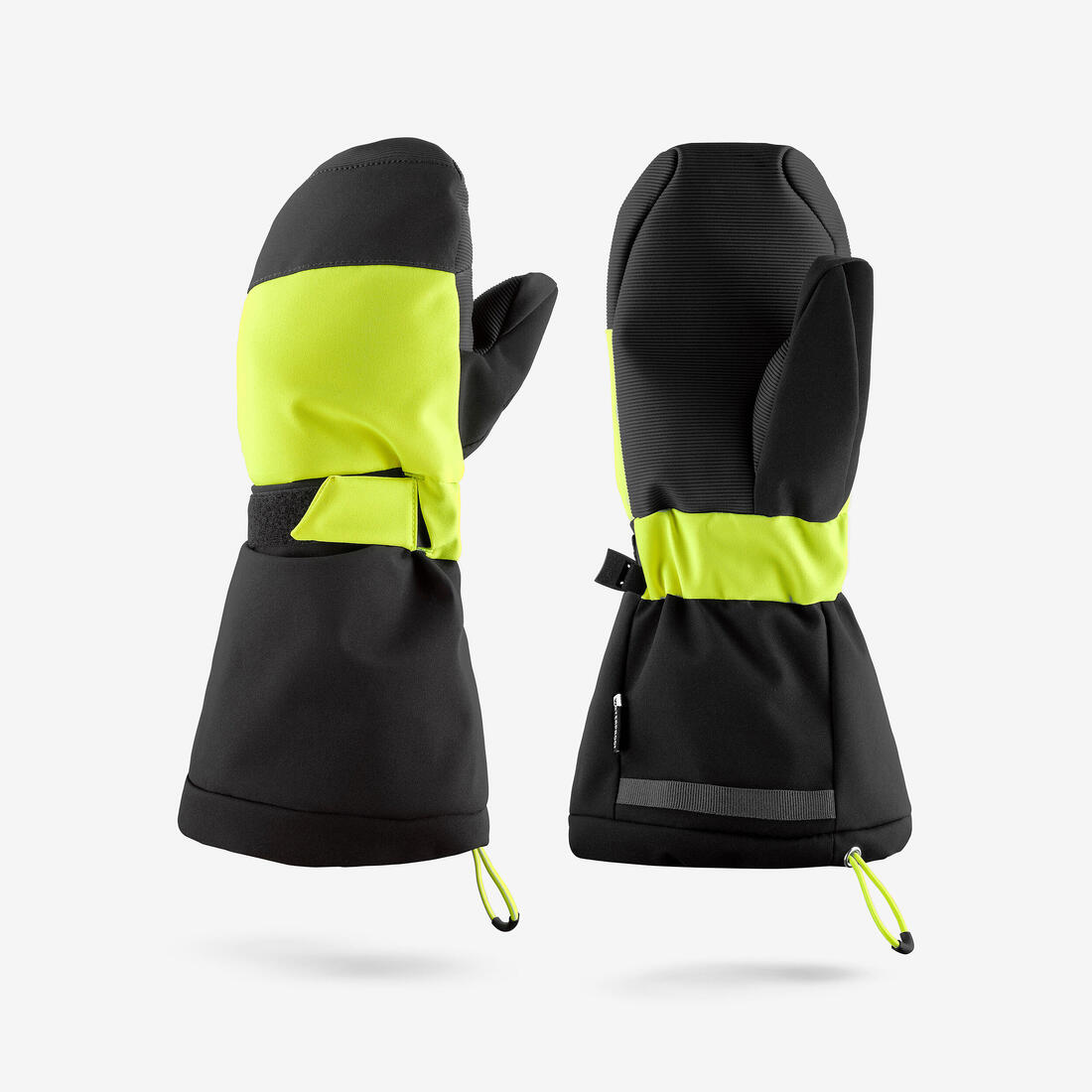IMG_2910668