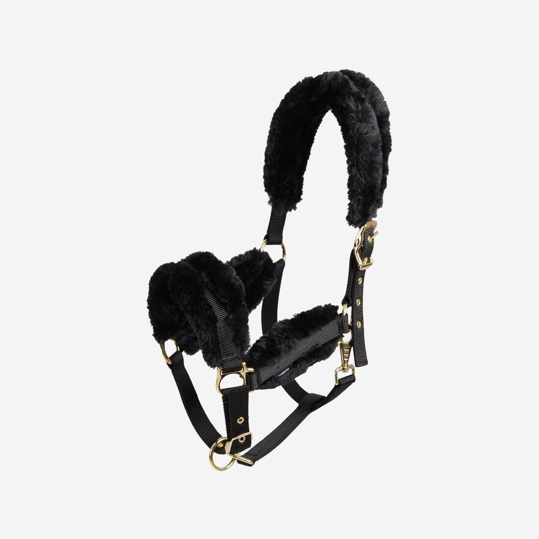 IMG_8579443_1