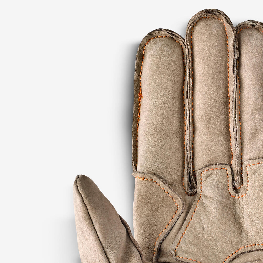 IMG_8249782_3