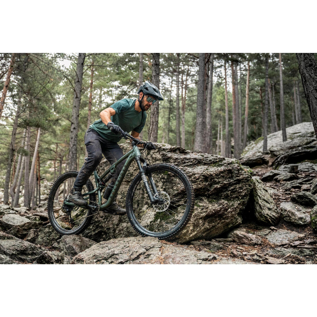 IMG_8646536_8
