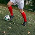 IMG_2617066