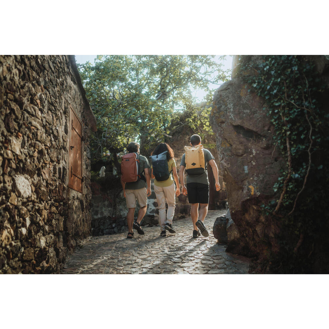 IMG_8803959_6