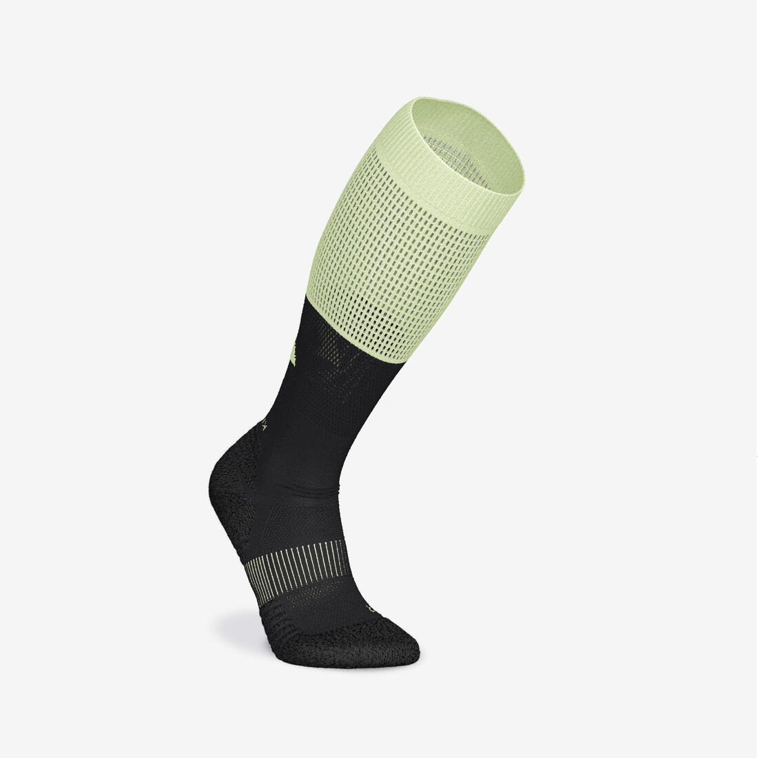 IMG_8901395_1