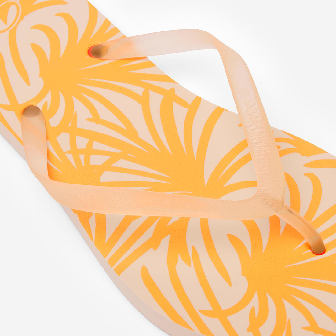 IMG_8980886_5