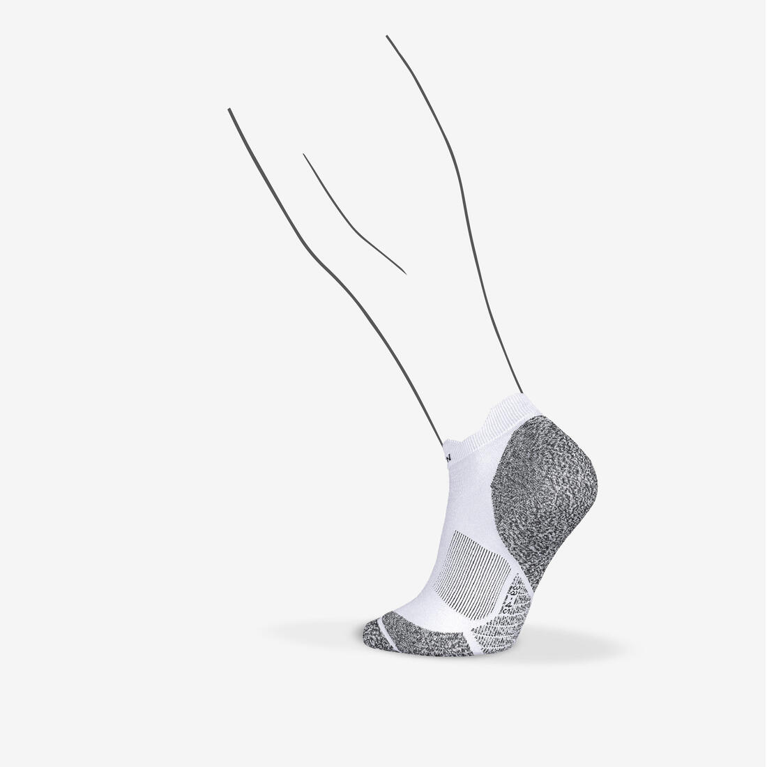 IMG_2838050