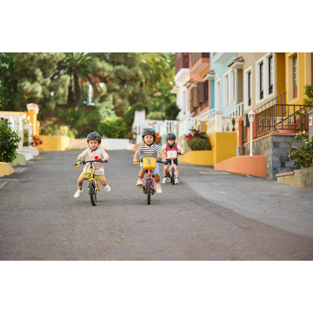 IMG_8646305_13