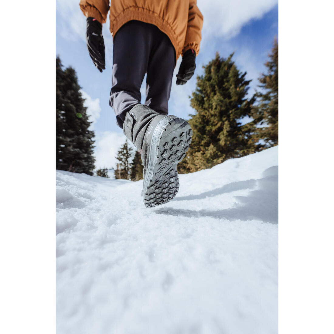 IMG_8648748_9